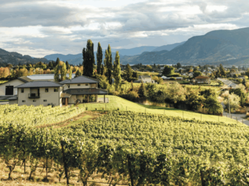 Screenshot 2025-05-09 at 9.39.06 AM